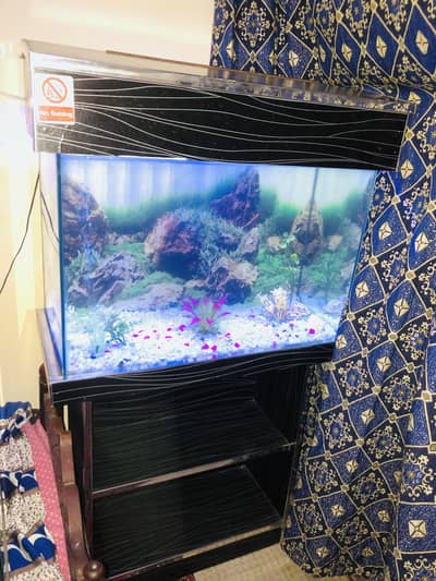 2 feet aquarium > Read add