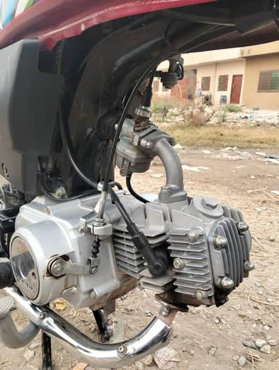 CD 70 lush condition