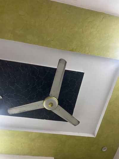 Ceiling Fan