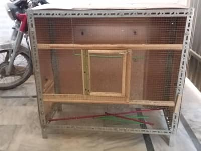 birds cage