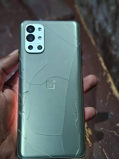 one plus 9R 12.256 pta approved