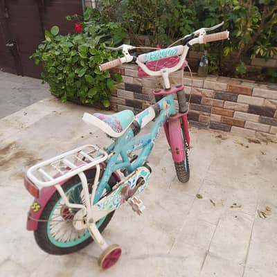 Girls Bicycle