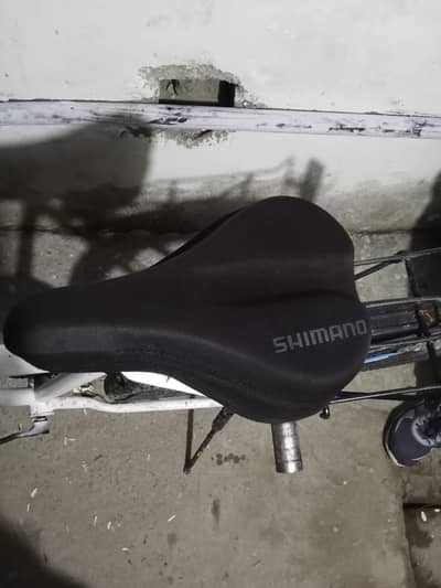 phoneix cycle for sale