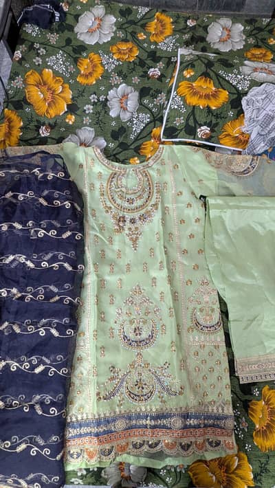 Pistachio color embroidery  on organza