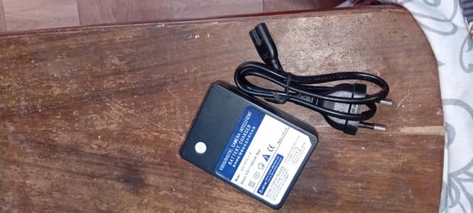 Digital camera/camcorder battery specific charger