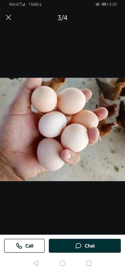 Pure Desi Eggs