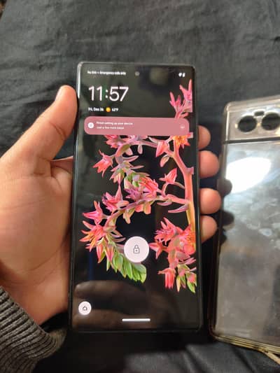 Google Pixel 6 PTA Approved