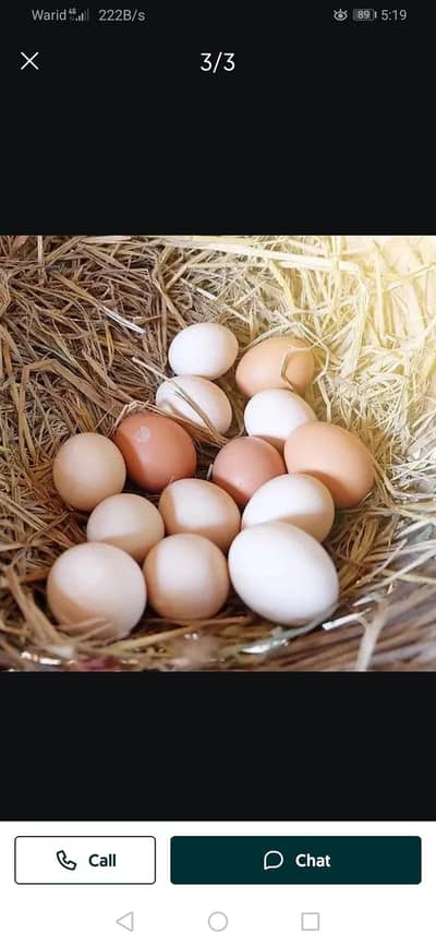 Farm Fresh Desi Eggs  | Pure And Healthy | Lahore