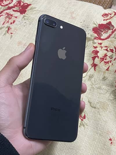 8plus Pta approved
