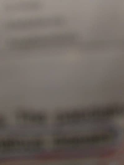 poodle oss puppies available