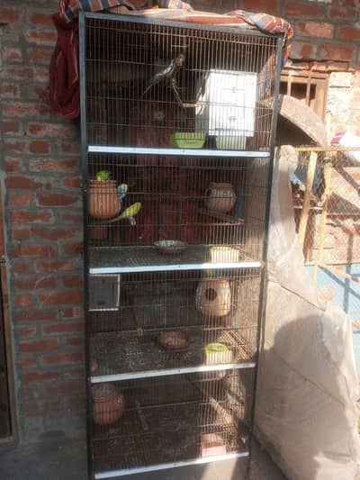 Parrot cage