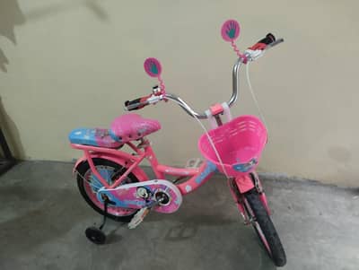 Baby girl bicycle