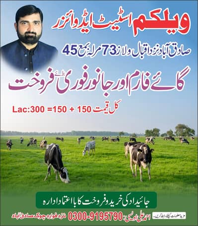 cattle farm with land