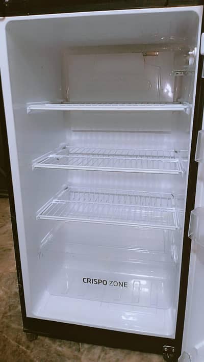 PEL grass door purple color