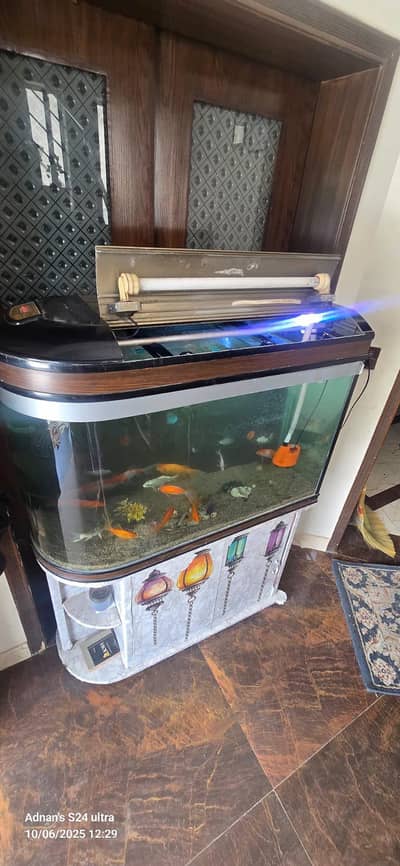 aquarium for sale