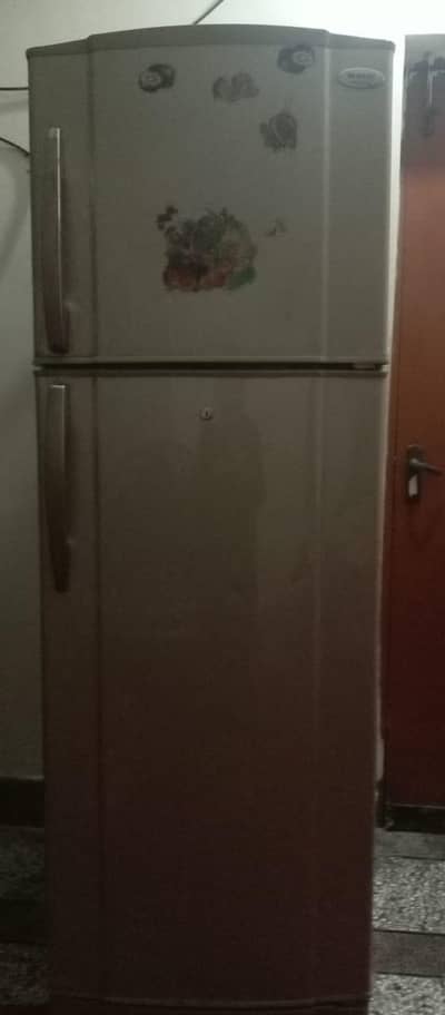 refrigerator full size