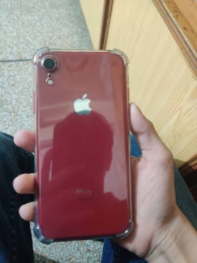 iPhone XR non pta 64gb
