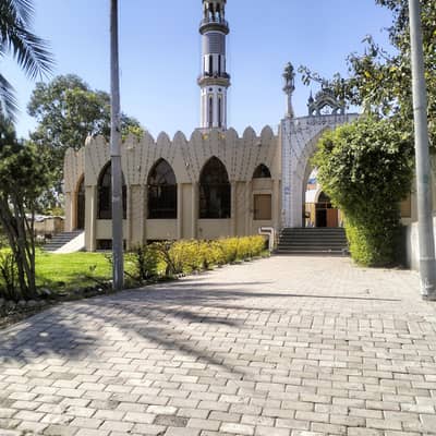 Cook Job Available in Islamabad