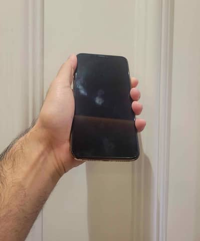 IPhone 11 Pro Max 256 GB