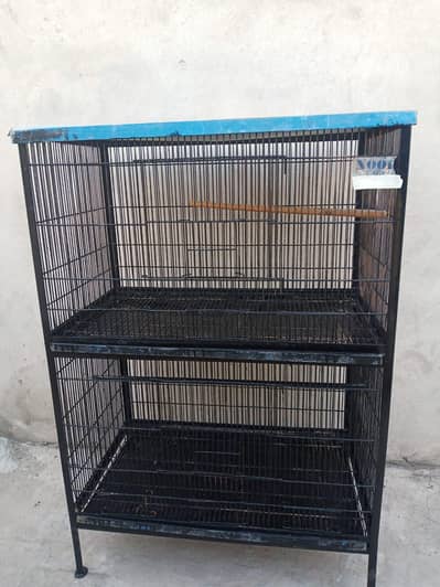 birds cage
