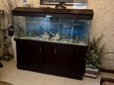 5 fit Aquarium