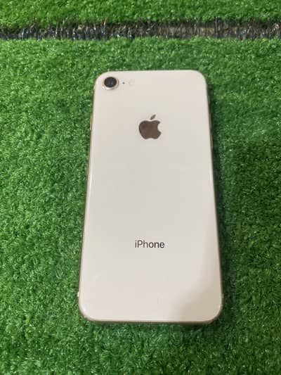 iPhone 8 PTA approved