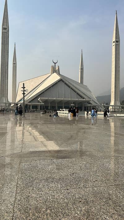 sapphire company job offer