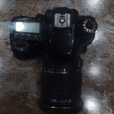 canon 80d with sigma 17 50 2.8 lens