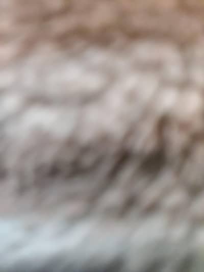 aoa I'm changing property with car alto wagon r cultus