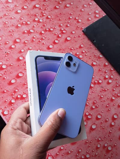 iPhone 12 factory unlocked with box
