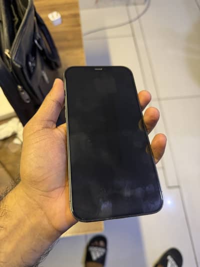 Apple iPhone 12 Pro Max