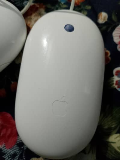 apple mighty mouse
