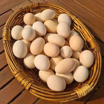 Desi Eggs