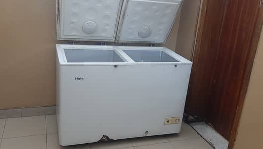 Haier Double Door Freezer