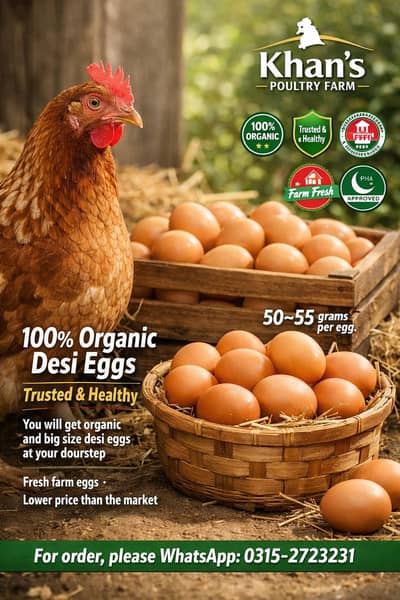 Desi Eggs for Sale – Lohmann Brown | Khan Poultry Farm