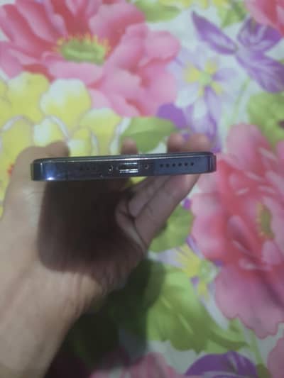 iPhone x converted iPhone 12 pro