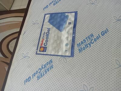 Molty Ortho Cool Gel