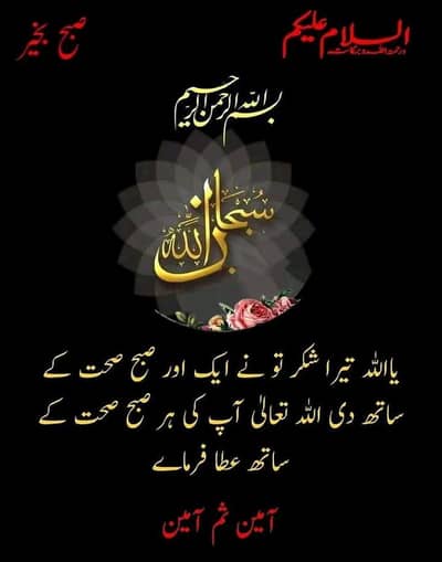 bai agar kise k pas dadd bored ho to rabta kary