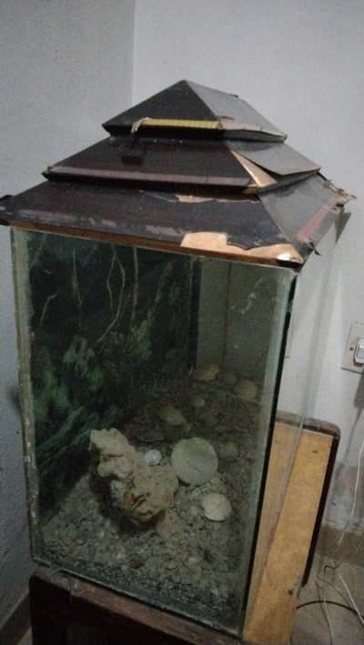 aquarium for sale with good condition