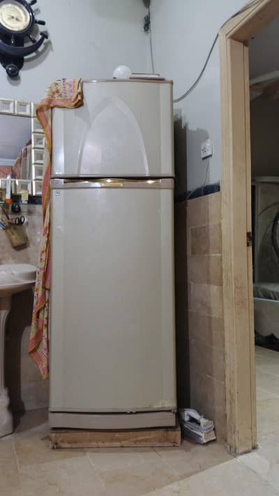 Big Size N 100 Person Working