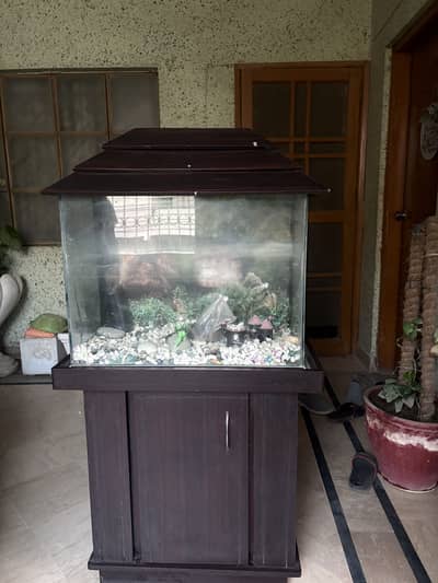 Fish Aquarium for Sale - Complete Setup