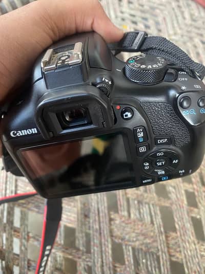 canon rebel t6