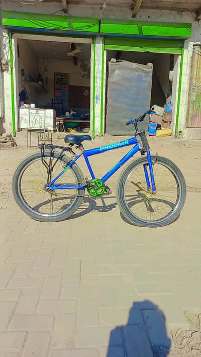 phoenix bicycle for sale