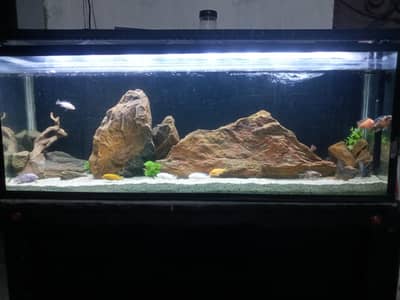 Aquarium full setup in cheap rate