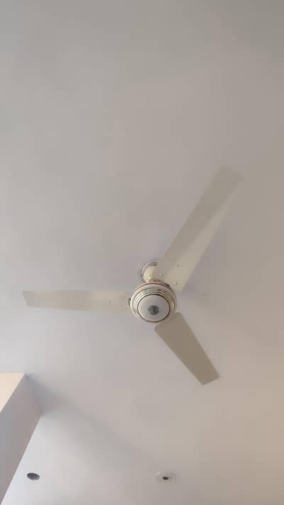 indus ceiling Fan for sale