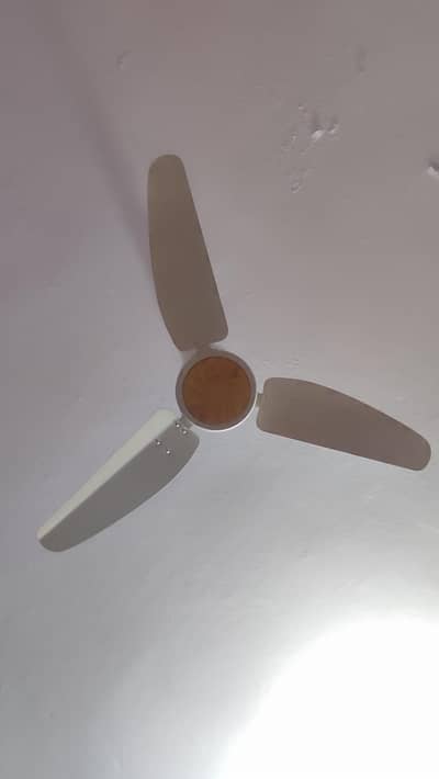 Royal ceiling fan for sale