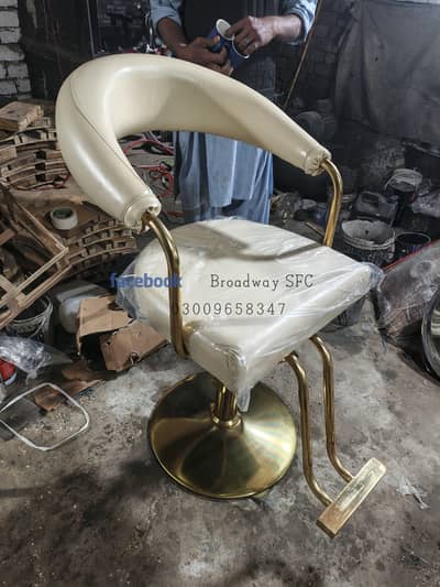 salon chair/Saloon chairs/hydraulic chair/Barber chair/Pedicure/
