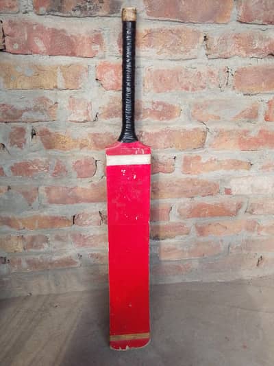 Cricket Bat
