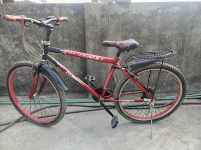 phoenix bicycle forsale