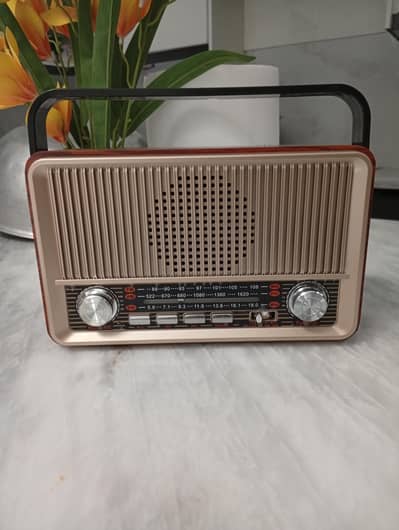 SAG Multifunctional Radio Model SG-510 BT